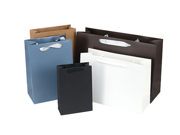Shopping Paper Bag