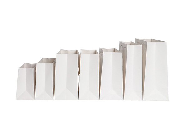 White Paper Packaging Bag